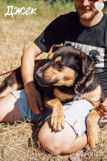 Джек из приюта