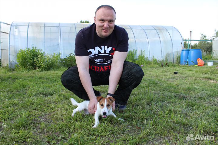 Репетитор по английскому есть 1 место