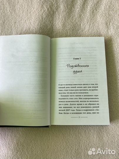 Уличный кот по имени Боб