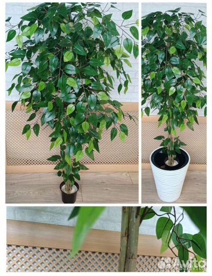 Фикус бенджамина искусственный