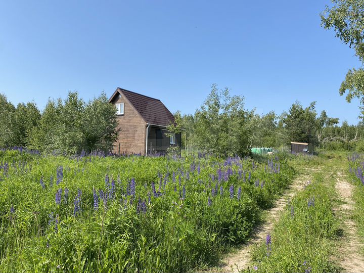 Участок 10 сот. (ИЖС)