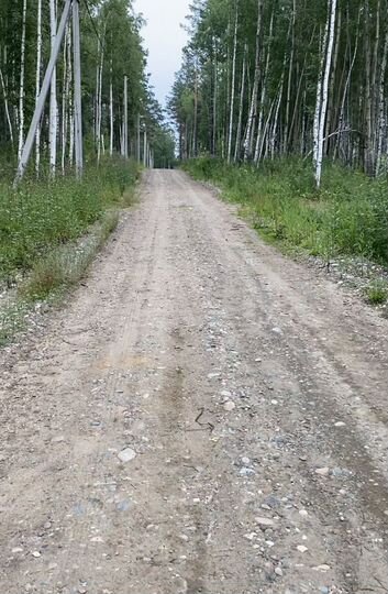 Участок 10 сот. (СНТ, ДНП)