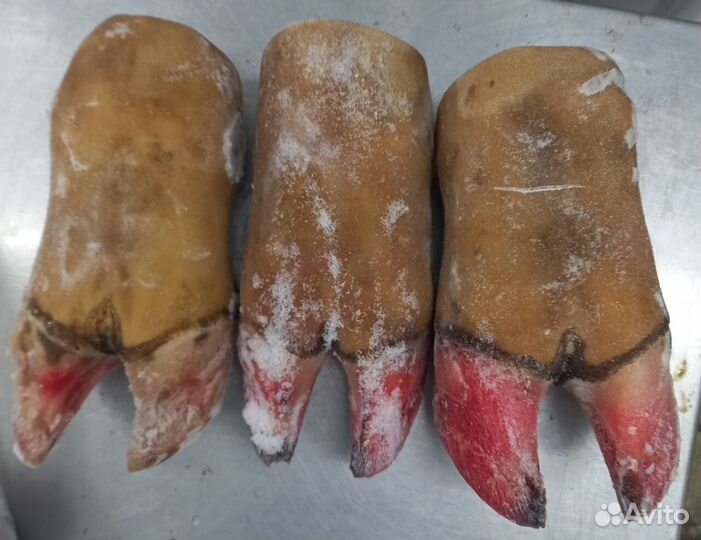 Корм для домашних питомцев крс, птица