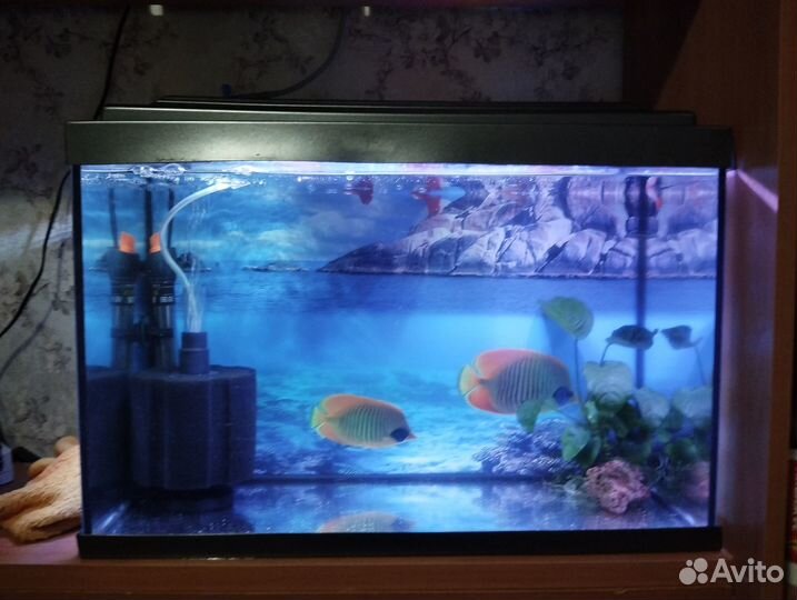 Аквариумы