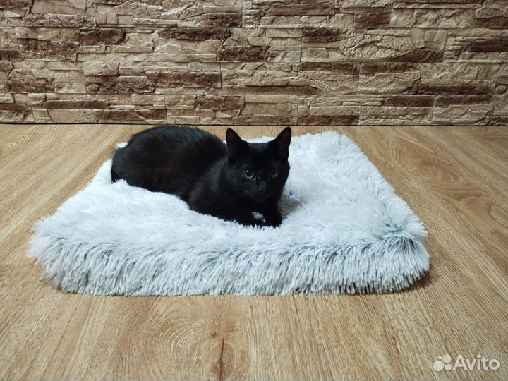 Лежанка для собак и кошек ортопедическая