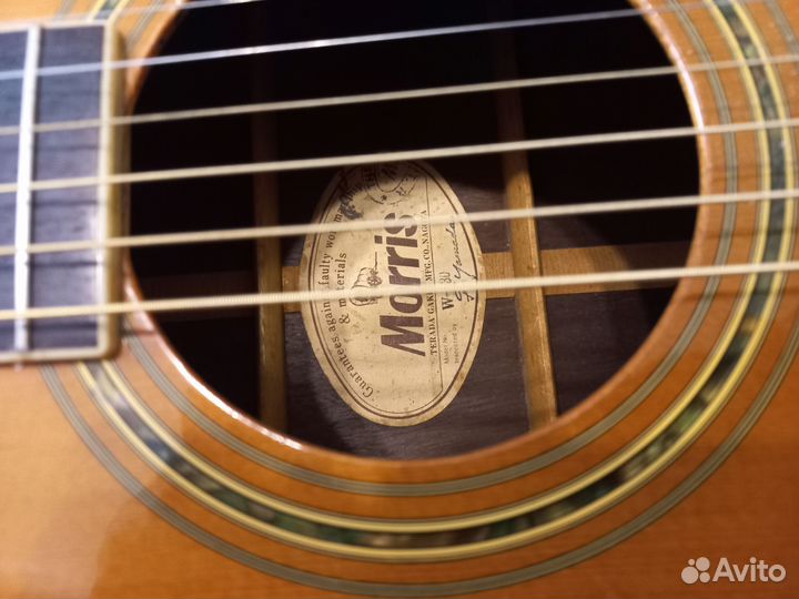 Акустическая гитара Morris W30 Japan
