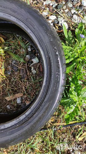 Nokian Tyres Nordman 7 205/50 R17