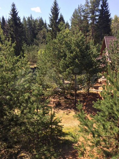 Дом 350 м² на участке 50 сот.