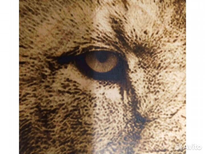 Картина Лев выжигание на дереве