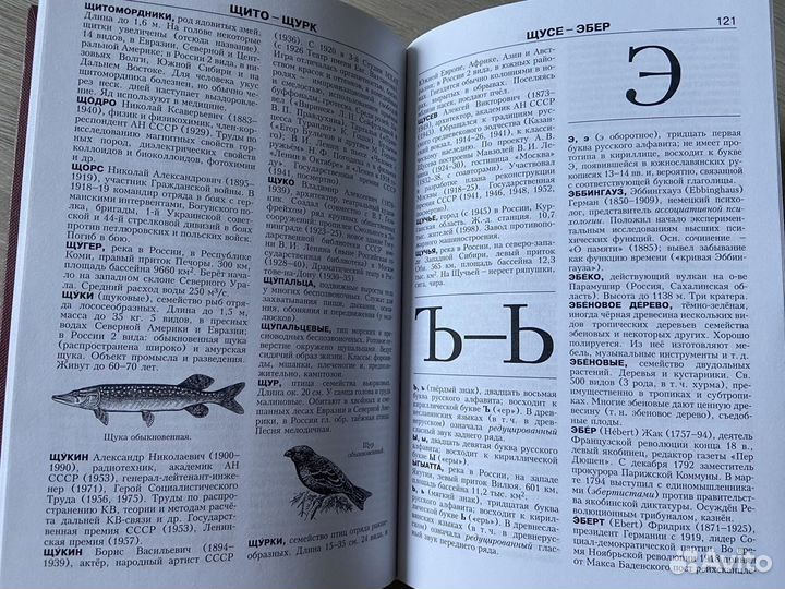 Новая иллюстрированная энциклопедия