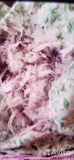 Продам перину пух перо
