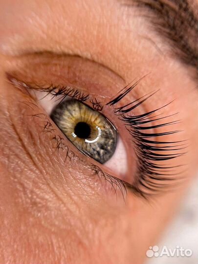 Вельвет ресниц. Обучение