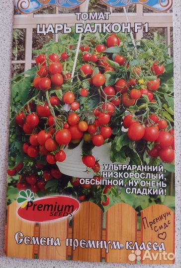 Рассада балконных томатов