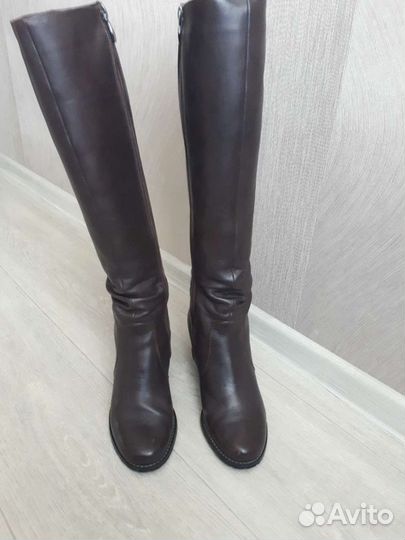 Сапоги осень весна женские