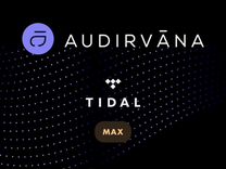 Audirvana (Hi-Fi Music Player)