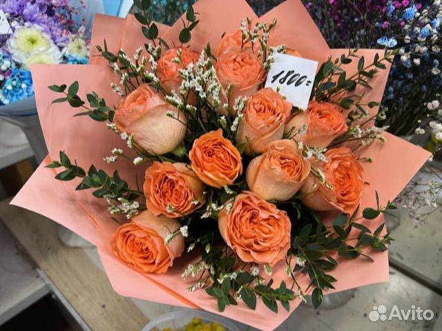 Комнатные растения цветы с доставкой