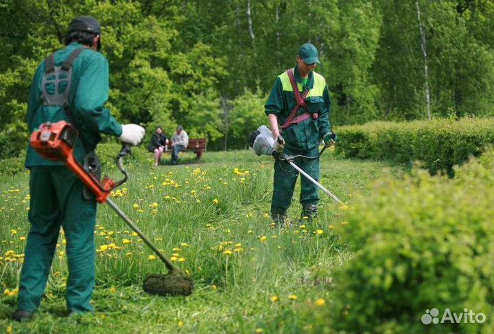 Кошу триммером