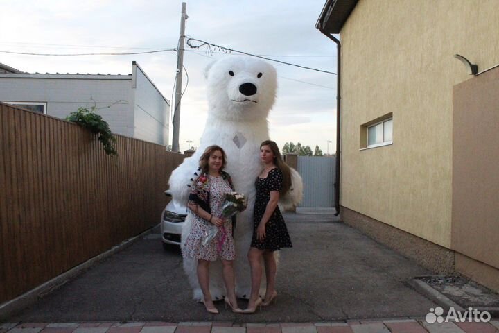Экспресс-Поздравления Белый Медведь 2,5м ростом
