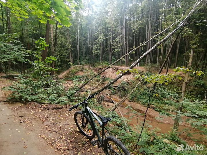 Stern Motion 2.0 27.5