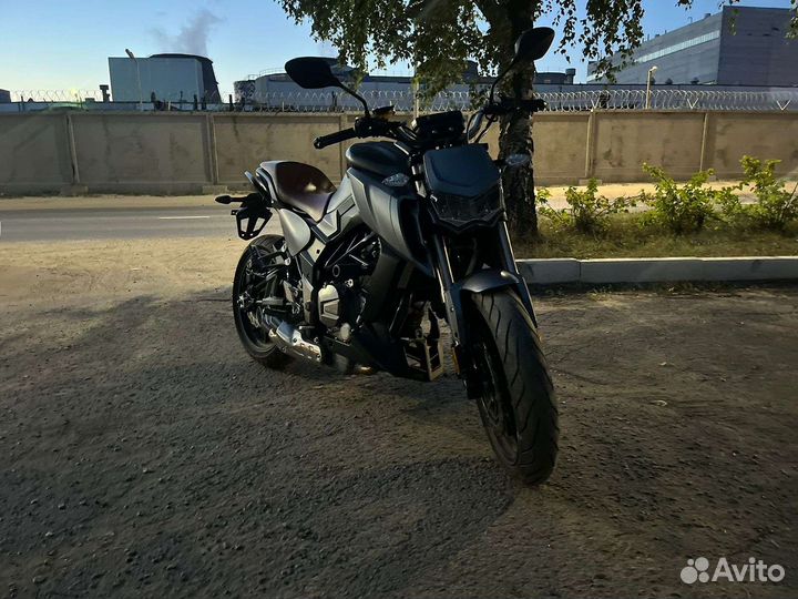 Regulmoto Alien Monster