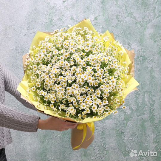 Ромашки доставка