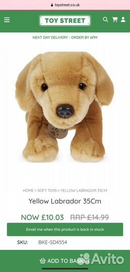 Собака лабрадор