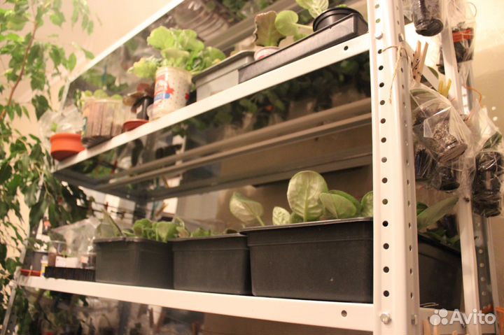 Стеллаж металлический