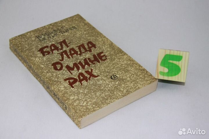 Бирюков.Чайка