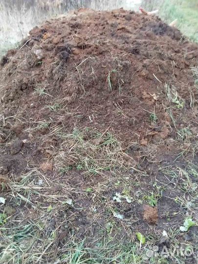 Навоз, перегной куриный