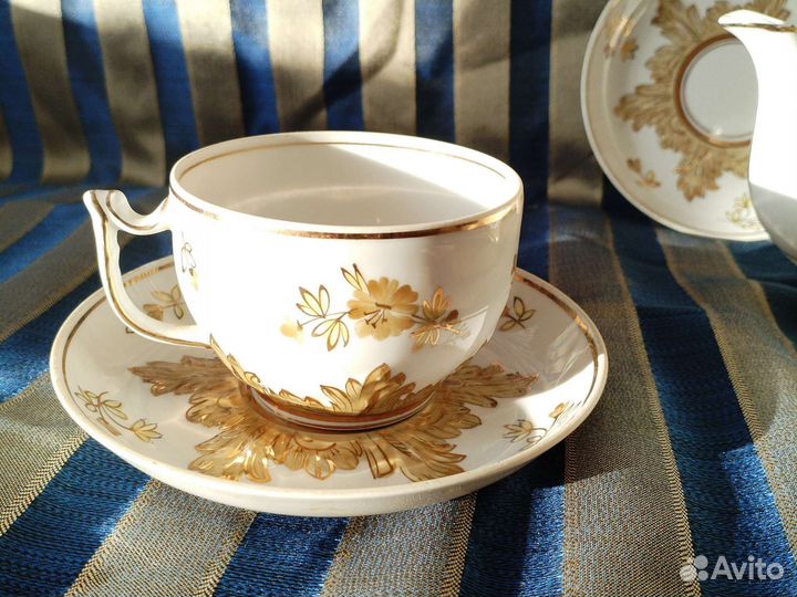 Барбарис желтый Вербилки