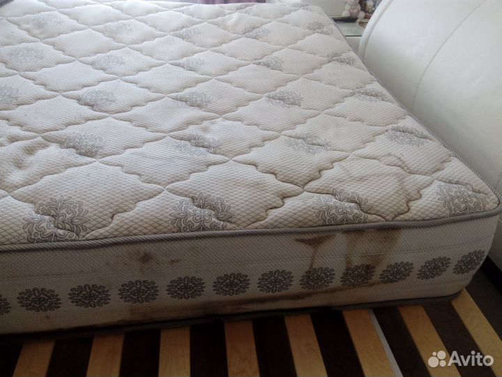 Химчистка мебели и ковров