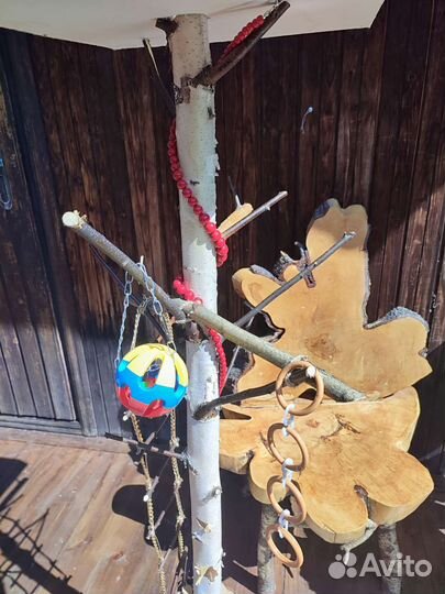 Присада для попугая