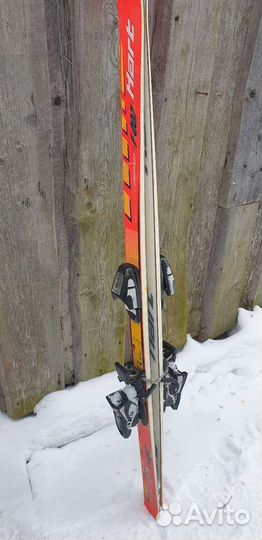 Горные лыжи