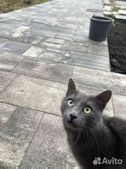 Тротуарная плитка листопад от 120 м2