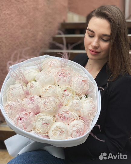 Букеты из Пионов 25/51/101 Цветы с Доставкой