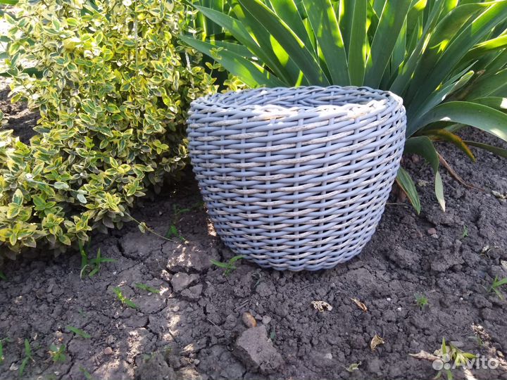 Кашпо для дома и дачи