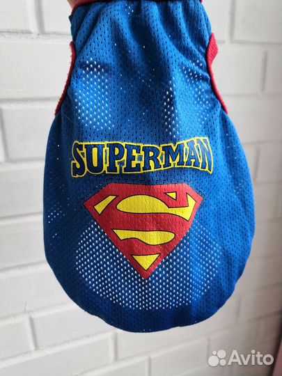 Одежда для собак