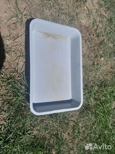 Кошачий лоток