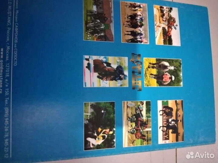 Набор открыток конный спорт