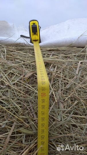 Сено в рулонах. Люцерна.Разнотравье