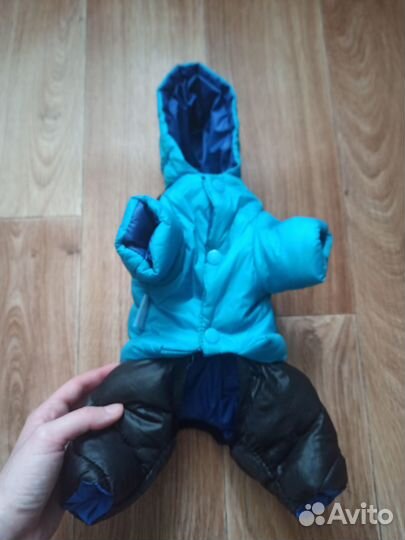 Одежда для собак маленьких пород