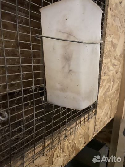 Клетки для кроликов