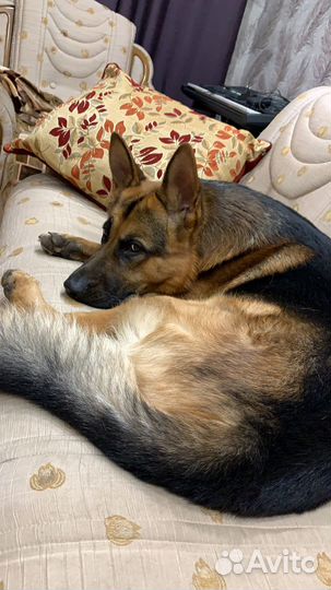 Кабель для вязки