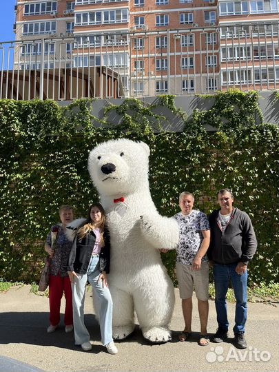 Аниматор белый медведь