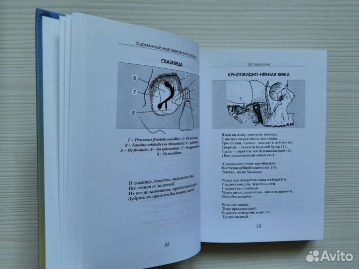 Карманный анатомический альбом / Л. Пупышев