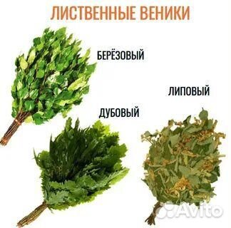 Банные веники Веники для бани