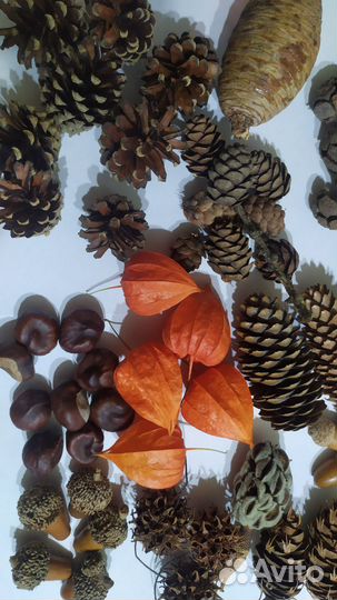 Набор природных материалов