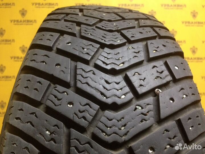 Kelly Winter Ice 175/65 R14