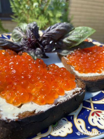 Красная икра