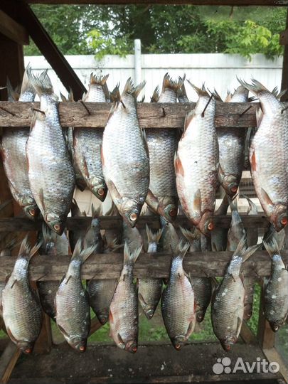 Вяленая чехонь рыба, горбуша, скумбрия, жерех